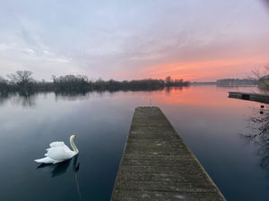 Pontoon sunset - swan- click for photo gallery